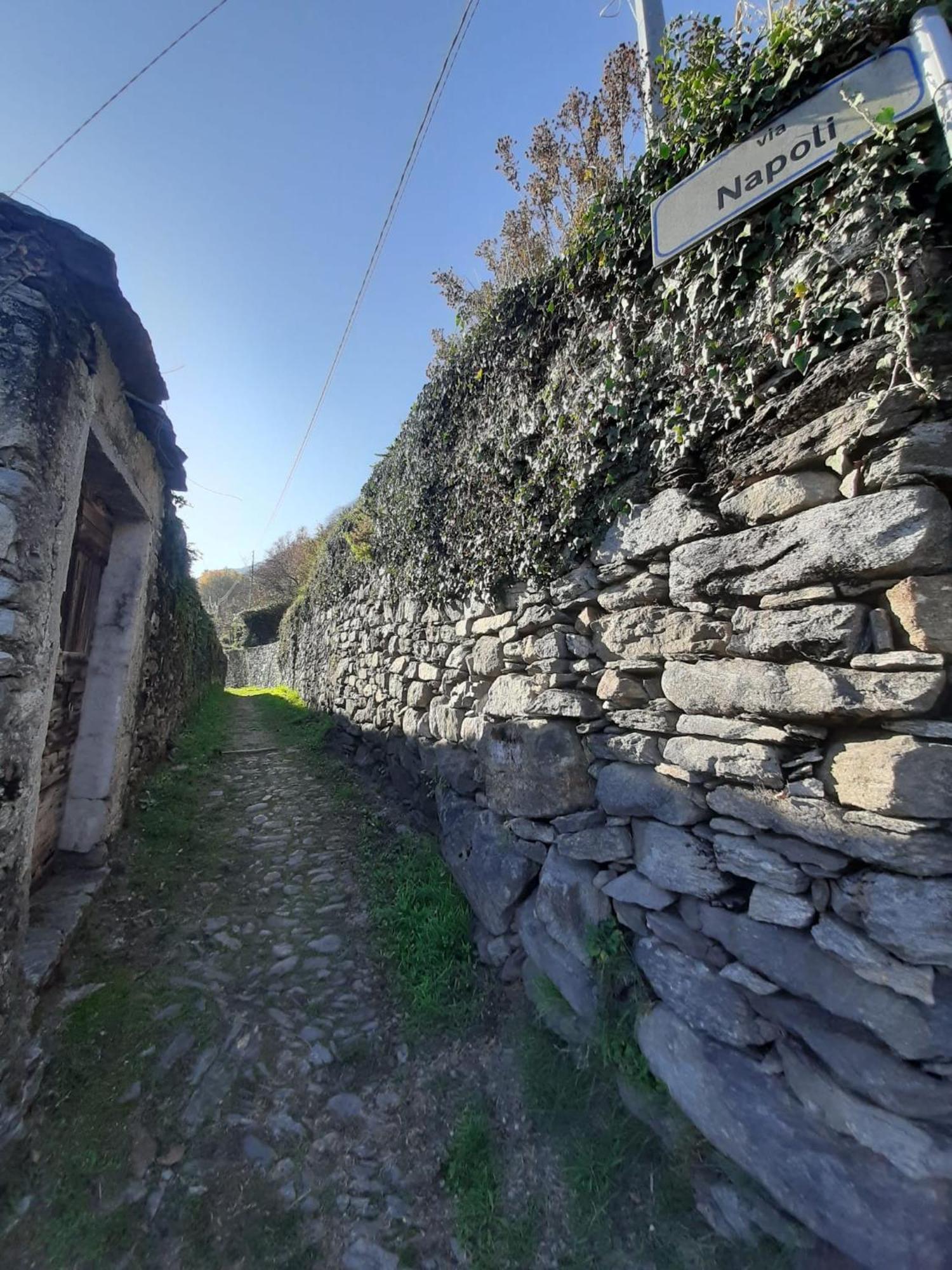 Residenza Le Camelie Daire Oggebio Dış mekan fotoğraf