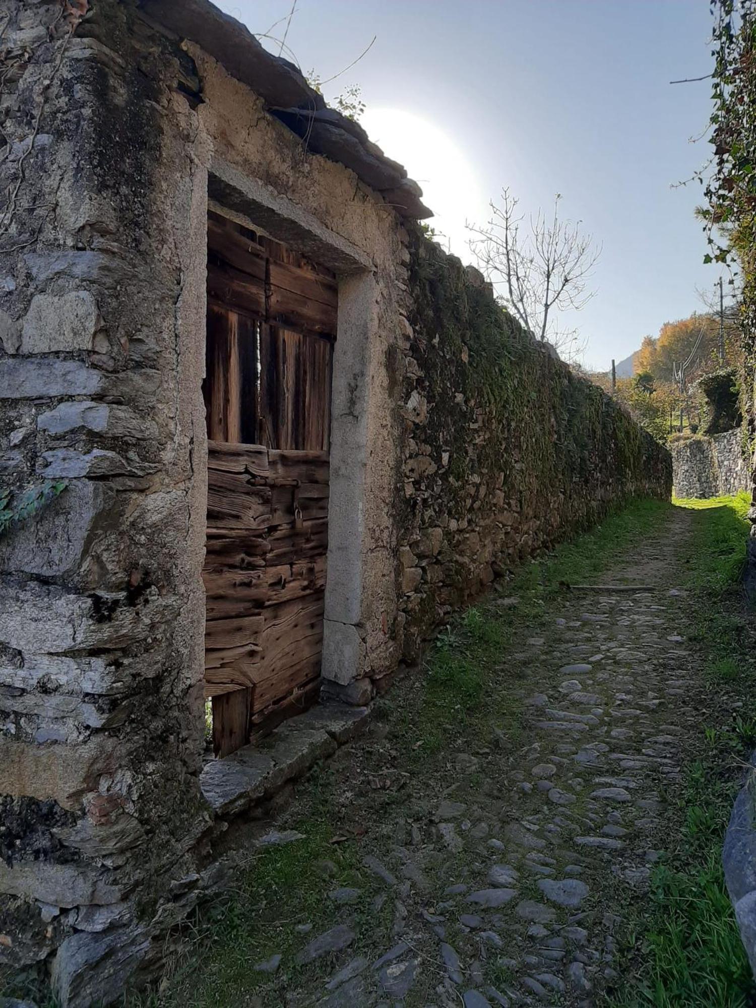 Residenza Le Camelie Daire Oggebio Dış mekan fotoğraf